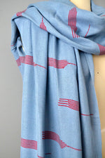 Light Blue and Red Scarf